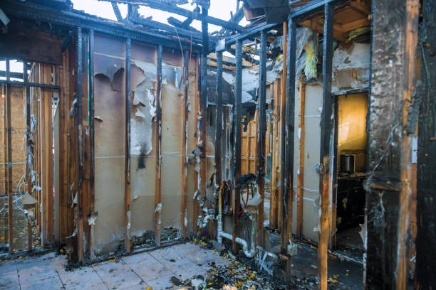 Professional Soot Cleanup technician working in Woodville, WI