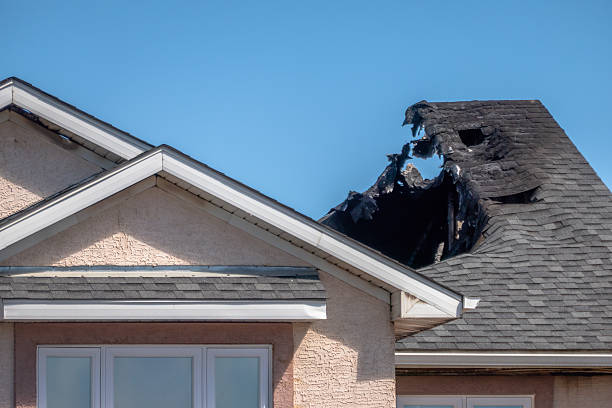 Top rated local Soot Cleanup specialists in Woodville, WI